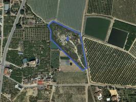 Gran terreno edificable de 10.000m² en Los Montesinos photo 0