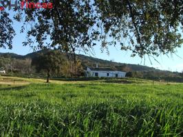 PRECIOSA FINCA DE 11ha CON CASERIO ANTIGUO EN PLENO PARQUE NATURAL SIERRA DE SEVILLA. photo 0