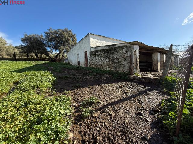 🌿🏡 ¡Impresionante Finca en Venta en El Pedroso, Sevilla! 🐑🌳 photo 0