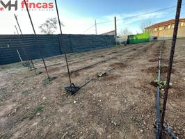 Parcela Diafana en Urbanización rustica privada '500 Mt2' ALCALA DE GUADAIRA photo 0