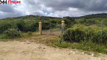 IMPRESIONANTE DEHESA DE 35 Hectareas en plena sierra de sevilla caserío semi reformado photo 0