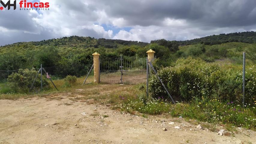 IMPRESIONANTE DEHESA DE 35 Hectareas en plena sierra de sevilla caserío semi reformado photo 0
