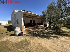 🌳 ¡Tu Refugio en la Naturaleza! Finca Rústica con Pozo y Olivos en Utrera, Sevilla 🏡 photo 0