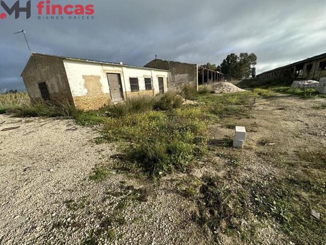 Finca Rustica de 46.000 mt2 En Arahal (Proyecto de instalación y reformas presentado) photo 0