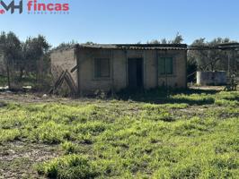 Preciosa y cuadrada parcela de 2300Mt con pozo y casa de aperos en Utrera photo 0