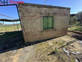 Preciosa y cuadrada parcela de 2300Mt con pozo y casa de aperos en Utrera photo 0