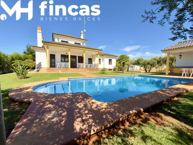 CHALET RURAL DE LUJO ENTRE OLIVOS – MAIRENA DEL ALCOR (SEVILLA) photo 0