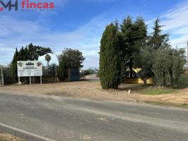 SE VENDE 'COOPERATIVA' FINCA DE 10.000Mt CON NEGOCIO EN PLENA FACTURACIÓN MUY RENTABLE ' NAVE 1500MT photo 0