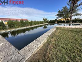 SE VENDE 'COOPERATIVA' FINCA DE 10.000Mt CON NEGOCIO EN PLENA FACTURACIÓN MUY RENTABLE ' NAVE 1500MT photo 0