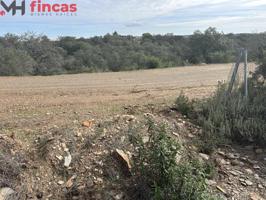 'Descubre tu Paraíso en Lagos del Serrano parcela de 1.000Mt2 - Guillena' photo 0