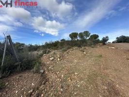 'Descubre tu Paraíso en Lagos del Serrano parcela de 1.000Mt2 - Guillena' photo 0
