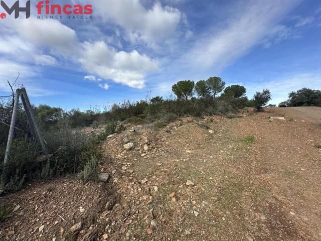 'Descubre tu Paraíso en Lagos del Serrano parcela de 1.000Mt2 - Guillena' photo 0