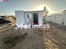 Finca Rústica con Nave, Invernaderos, Pozo y Luz Propia en Los Palacios – ¡Listo para Producir! photo 0