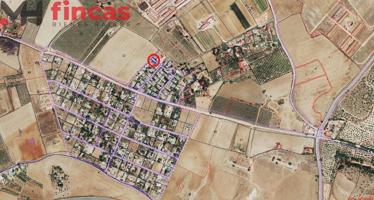 🌳🏡 Parcela de 390 m² en Urbanización San Bernardo – ¡Cerca de Los Frutales del Alcor! 🍊🌾 photo 0