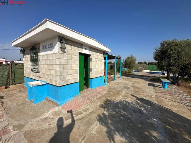 ¡Tu Paraíso Privado en Utrera! 🏡🌳 Naturaleza, Piscina y Huerto a Solo un Paso. photo 0
