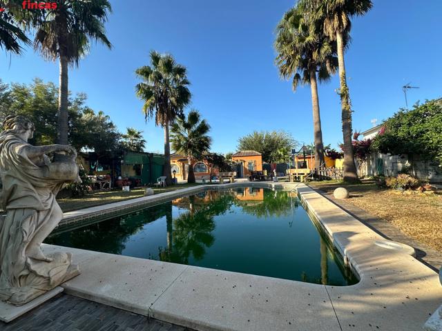 Tu Refugio Natural a Solo Minutos de Sevilla: Finca Exclusiva en Don Rodrigo photo 0