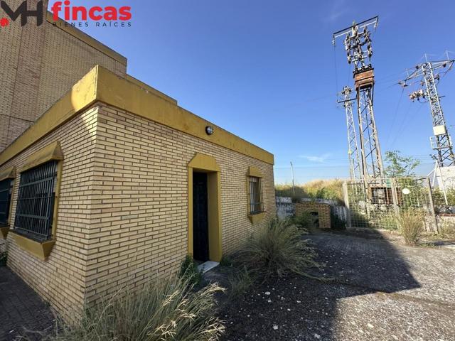 Gran nave en Mairena del alcor de 3.000Mt2 ¡¡ en suelo urbanizable!! S-8 photo 0