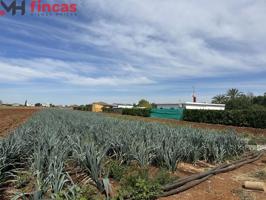 Parcela rustica junto al Gordillo 8800Mt2 photo 0
