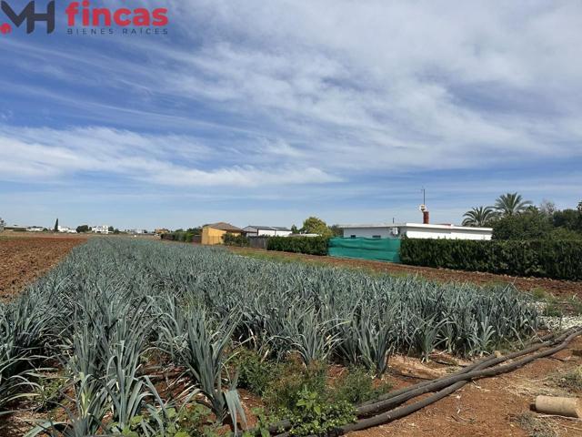 Parcela rustica junto al Gordillo 8800Mt2 photo 0