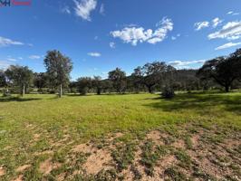🌿✨ FINCA RÚSTICA EN VENTA – NATURALEZA, PAZ Y OPORTUNIDAD EN HUELVA EL PATRAS🌄🏡 photo 0