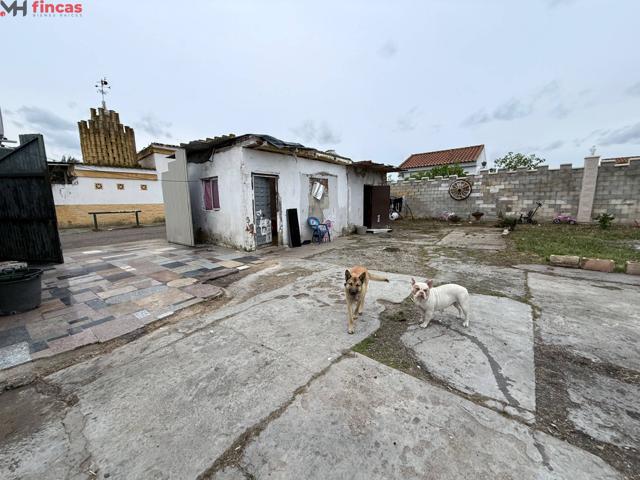 Parcela de 1.250 m² en Los Naranjos, Carmona – pozo propio, luz y construcciones para reformar photo 0