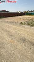 500 m² de libertad a 10 min de Sevilla 🌱 ¡Sin hipoteca! Rustico y no urbanizable photo 0