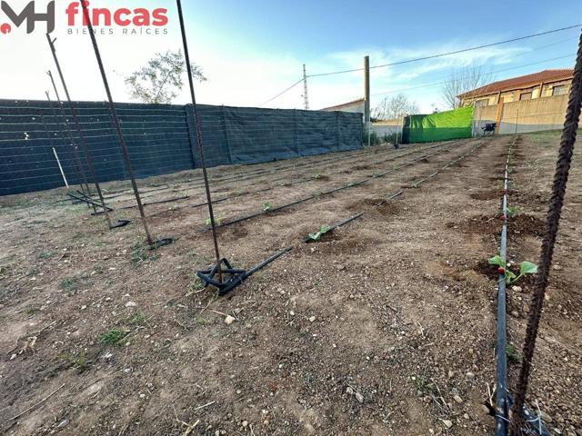 500 m² de libertad a 10 min de Sevilla 🌱 ¡Sin hipoteca! Rustico y no urbanizable photo 0