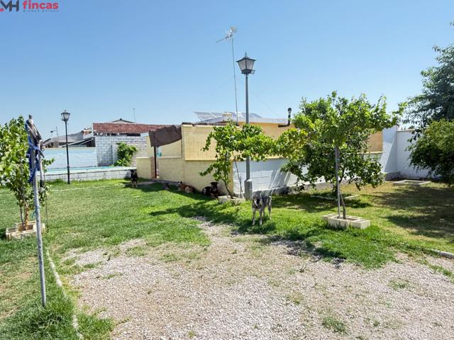 Parcela rústica con casa, piscina y autosuficiencia en Don Rodrigo – Tu refugio sin bancos photo 0