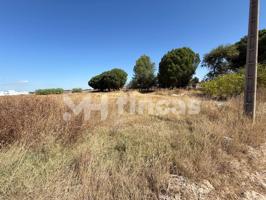Parcela en Los Palacios (Sevilla) – 1.956 m² Mitad Indivisa Urbanizable por 79.900 € photo 0
