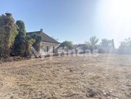 El solar que esperabas en Dos Hermanas: ubicación, proyección y rentabilidad asegurada photo 0