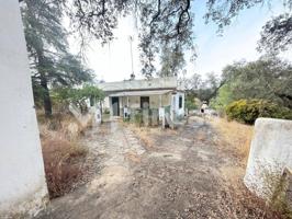 No es una finca… es libertad: 1,06 hectáreas de calma y aire puro en Sierra Clara (El Ronquillo) photo 0