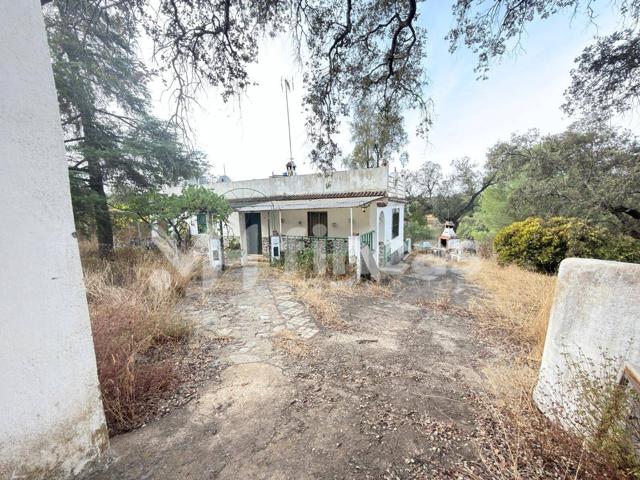 No es una finca… es libertad: 1,06 hectáreas de calma y aire puro en Sierra Clara (El Ronquillo) photo 0