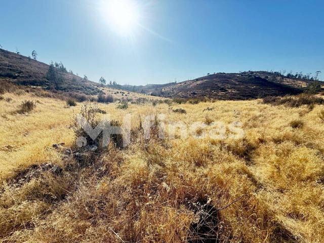 FINCA CHARNECA · 30 hectáreas con manantial, vallado y caza en el corazón de Huelva 🌿 Una inversión con alma y futuro photo 0