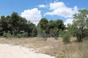 Terreno Urbanizable En venta en Caravaca De La Cruz, Caravaca De La Cruz photo 0