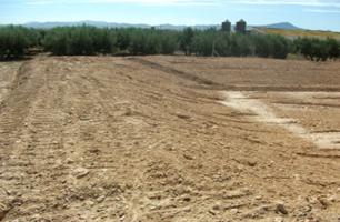 Terreno Urbanizable En alquiler en Los Almagros - Los Paganes - El Escobar, Fuente Alamo De Murcia photo 0