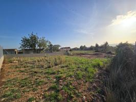 Parcela llana edificable en Montroy photo 0