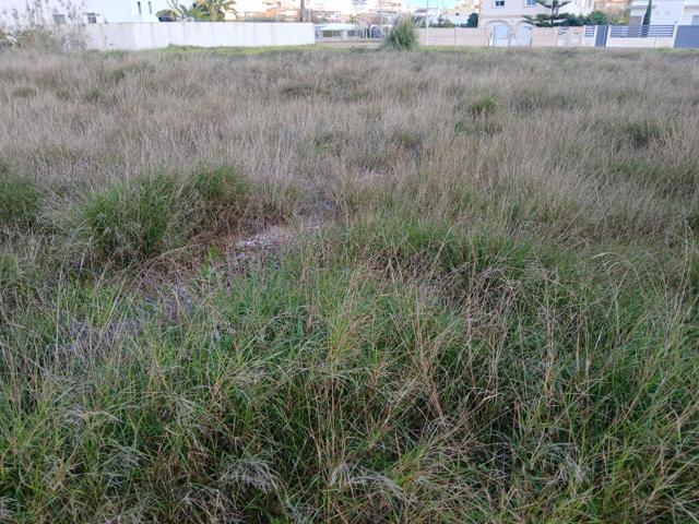 Gran parcela edificable en la playa photo 0