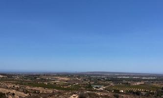 Finca agrícola en producción en Elche photo 0