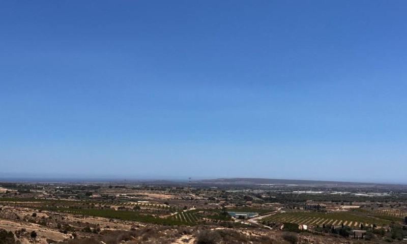 Finca agrícola en producción en Elche photo 0