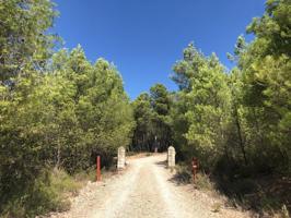 FINCA RUSTICA PARA INVERSION photo 0