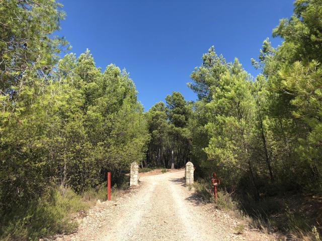 FINCA RUSTICA PARA INVERSION photo 0