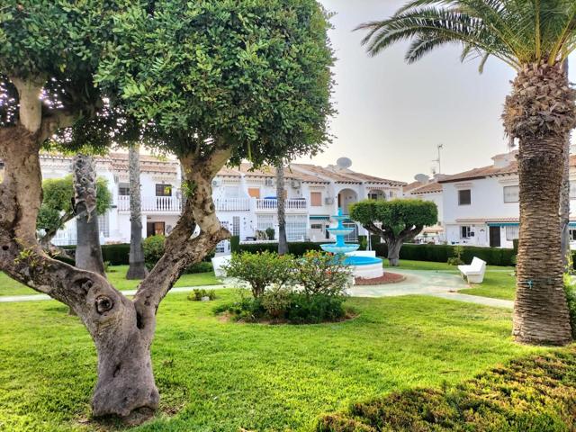 CHALET ADOSADO, EN TORREVIEJA photo 0