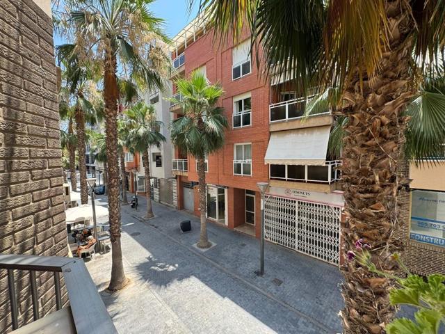 PISO CENTRICO Y LUMINOSO EN TORREVIEJA photo 0