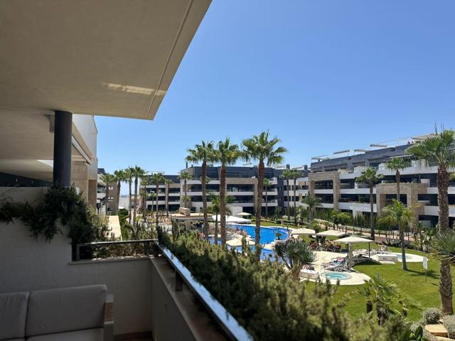 PISO EN VENTA PABLO PICASSO, EN PLAYA FLAMENCA (TORREVIEJA) photo 0