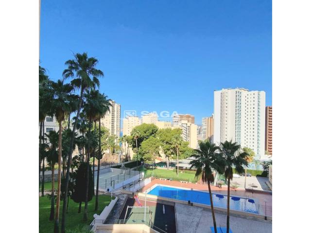 ESPECTACULAR PISO REFORMADO EN BENIDORM CON PISCINA Y PISTA DE TENIS photo 0