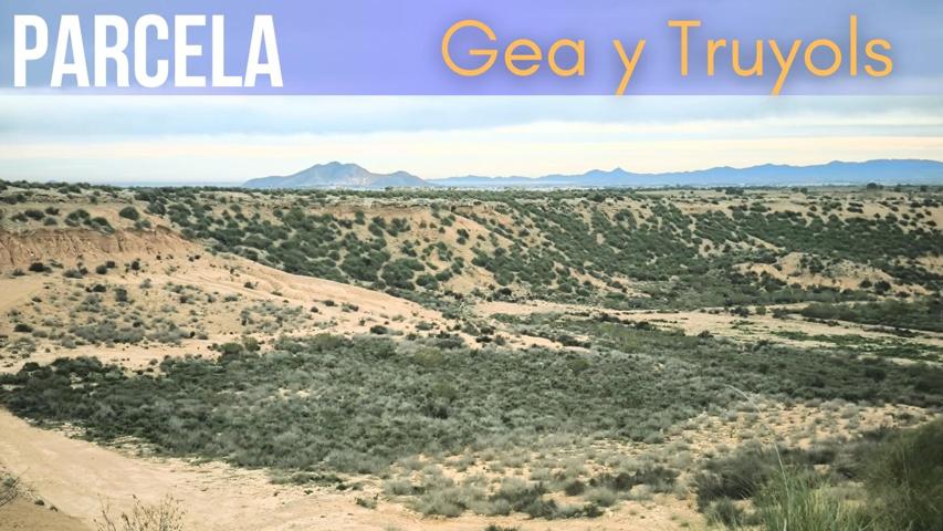 Parcela en Gea y Truyols photo 0
