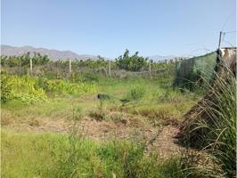 Se vende parcela con cortijo photo 0