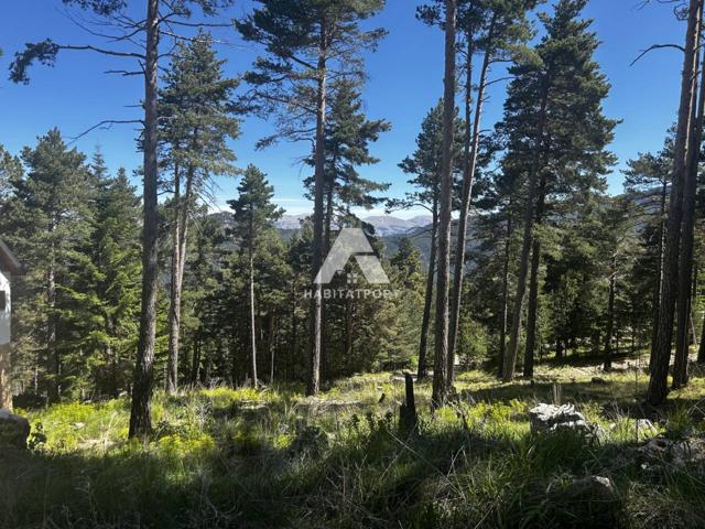 Venta de parcela Sector 3 del Port del Comte photo 0