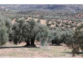 REF.LUC23007 VENTA DE FINCA OLIVAR EN LUCENA photo 0