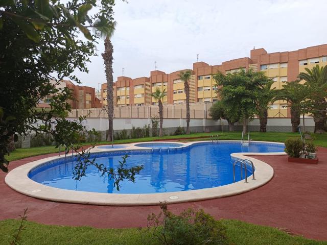 SE VENDE APARTAMENTO CON PISCINA A 600M DE LA PLAYA Y CON PLAZA DE GARAJE EN TORREVIEJA photo 0